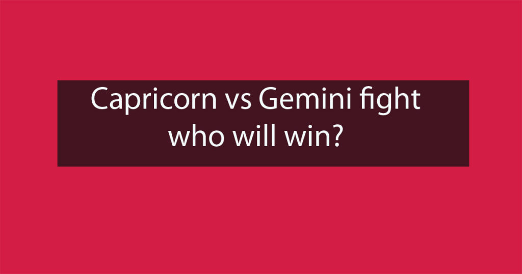 Capricorn Vs Gemini Fight Who Would Win