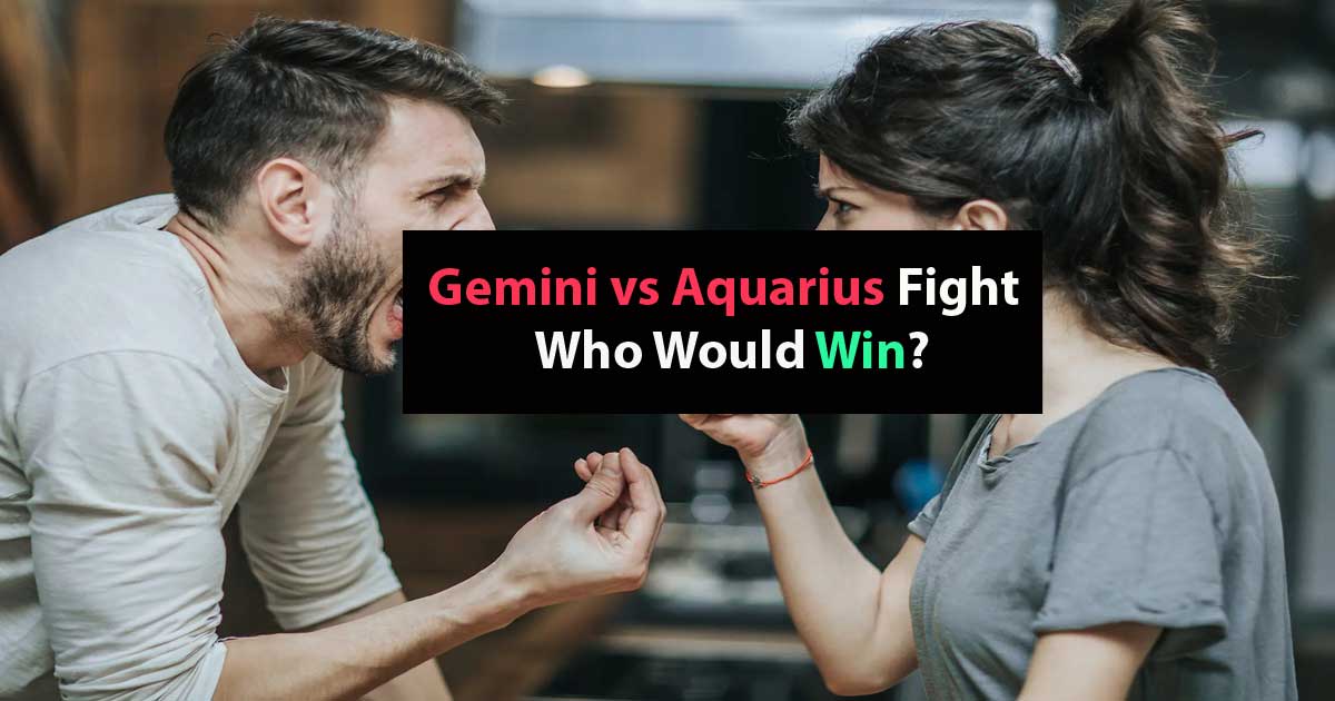 Gemini vs Aquarius Fight Who Would Win? - CapricornTraits