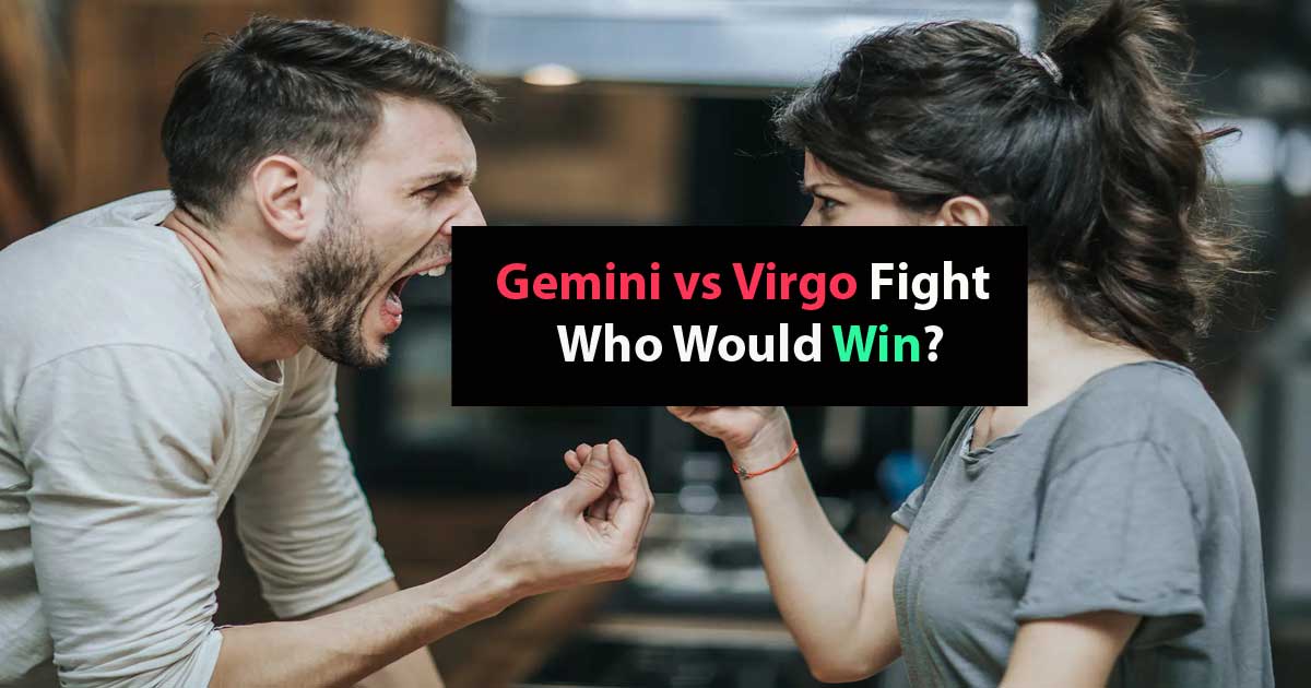 Gemini Vs Virgo Fight 2024 Who Would Win   Gemini Vs Virgo Fight 